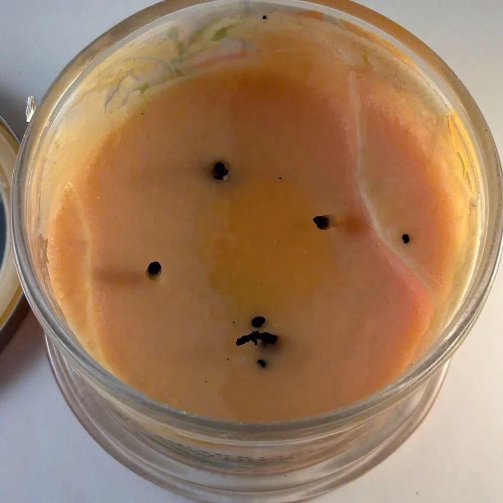 Homeworx SPARKLING CITRUS Scented Candle 18 Oz 4‎ Wick Slatkin & Co USED Orange
